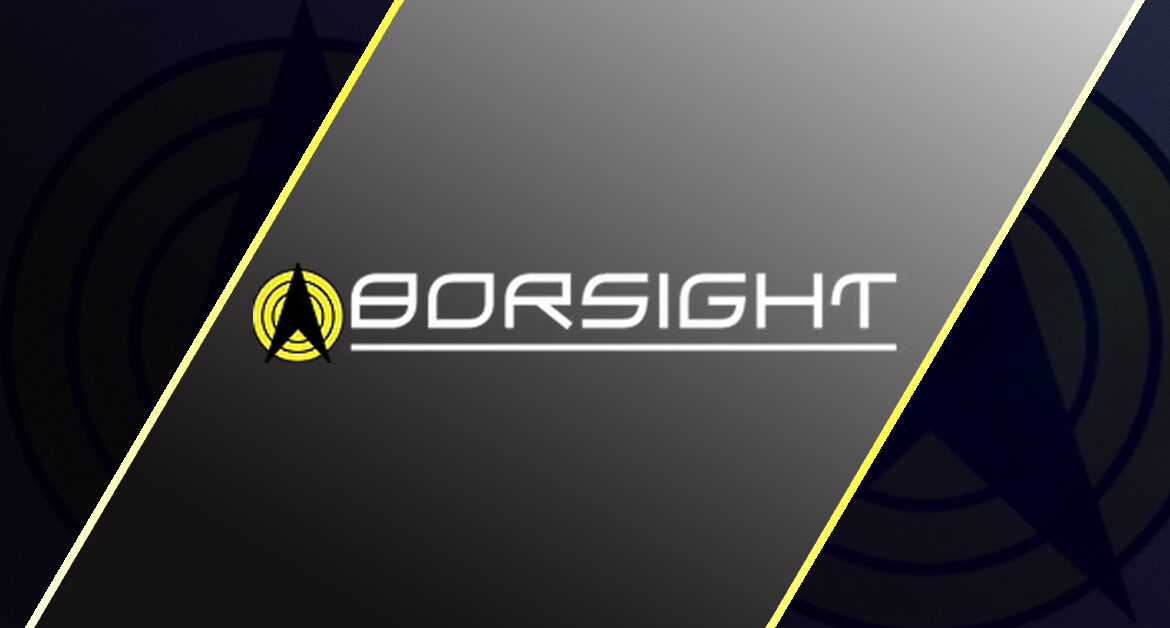 Borsight logo